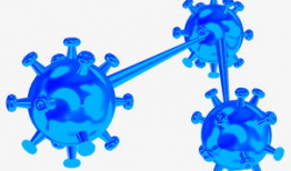 细胞动漫,微观世界的奇幻动漫之旅